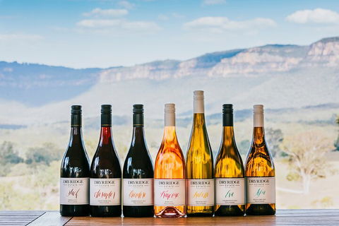 Taste Of The Blue Mountains - Lunch & Wine Tasting, Beer, Cider & Gin Tasting - Accommodation in Surfers Paradise 3