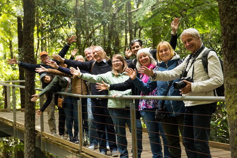 All Inclusive Blue Mountains Small-Group Day Trip From Sydney - Accommodation in Surfers Paradise 5