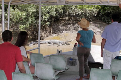 Whitsunday Crocodile Safari Including Lunch - Accommodation in Surfers Paradise 4