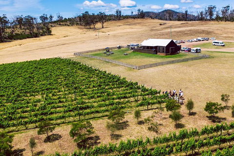 Tasmanian Wine Tour - Accommodation in Surfers Paradise 3