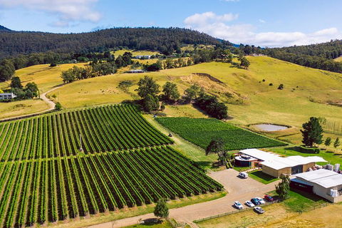 Tasmanian Wine Tour - Accommodation in Surfers Paradise 4
