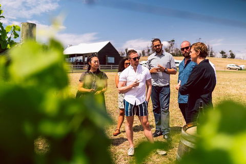 Tasmanian Wine Tour - Accommodation in Surfers Paradise 5
