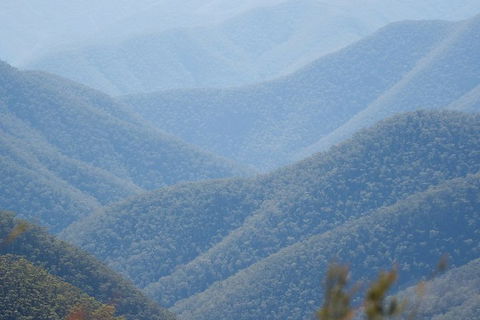 From The Mountains To The Bay - 4 Day Rediscovery Private Tour - Accommodation in Surfers Paradise 1