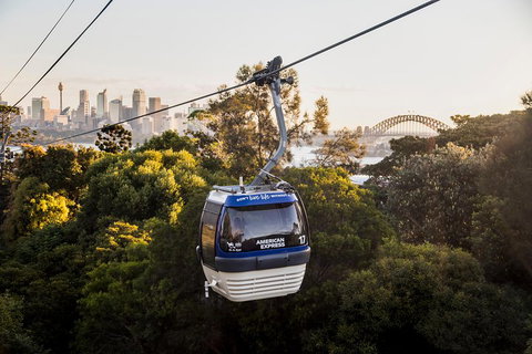 Australia Multi-City Attractions Pass - Accommodation in Surfers Paradise 5