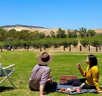 Private Picnic and Wine Tasting Experience in Barossa Valley - Accommodation in Surfers Paradise