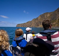 Seal Island Boat Tour from Victor Harbor - Accommodation in Surfers Paradise