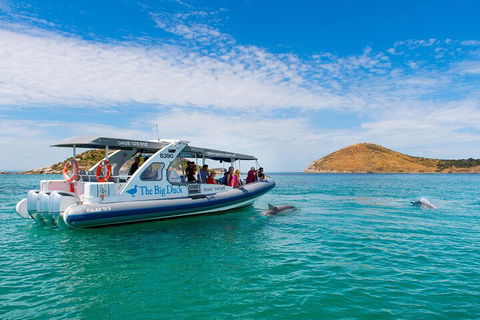 Southern Ocean Adventure From Victor Harbor - Accommodation in Surfers Paradise 1