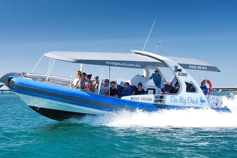 Southern Ocean Adventure From Victor Harbor - Accommodation in Surfers Paradise 5