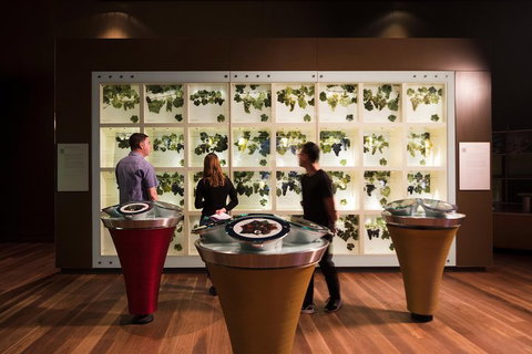 Australian Wine Discovery Tour With Tastings - Accommodation in Surfers Paradise 4