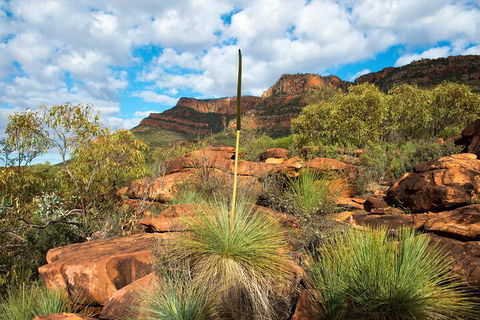 6-Day Eyre Peninsula & Flinders Ranges Adventure Tour - Accommodation in Surfers Paradise 1