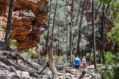 6-Day Eyre Peninsula & Flinders Ranges Adventure Tour - Accommodation in Surfers Paradise 5