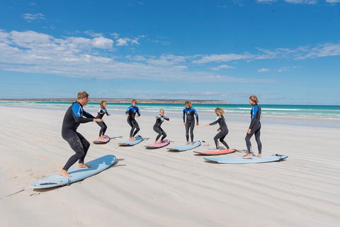10-Day Adelaide To Perth Adventure Tour - Accommodation in Surfers Paradise 0