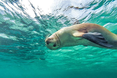 10-Day Adelaide To Perth Adventure Tour - Accommodation in Surfers Paradise 1