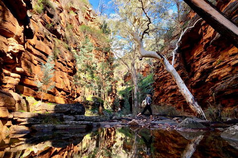 10-Day Adelaide To Perth Adventure Tour - Accommodation in Surfers Paradise 5