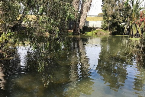 Perth East Foreshore And City Segway Tour - Accommodation in Surfers Paradise 1