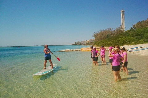 Golden Beach 1-Hour Stand-Up Paddleboard Hire On The Sunshine Coast - Accommodation in Surfers Paradise 1