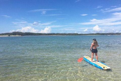 Golden Beach 1-Hour Stand-Up Paddleboard Hire On The Sunshine Coast - Accommodation in Surfers Paradise 4