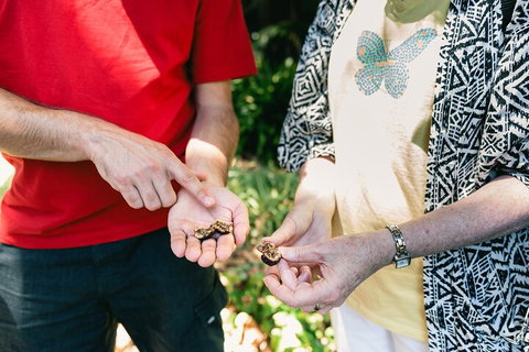 Perth Arcades And Laneways Walking Tour - Accommodation in Surfers Paradise 0